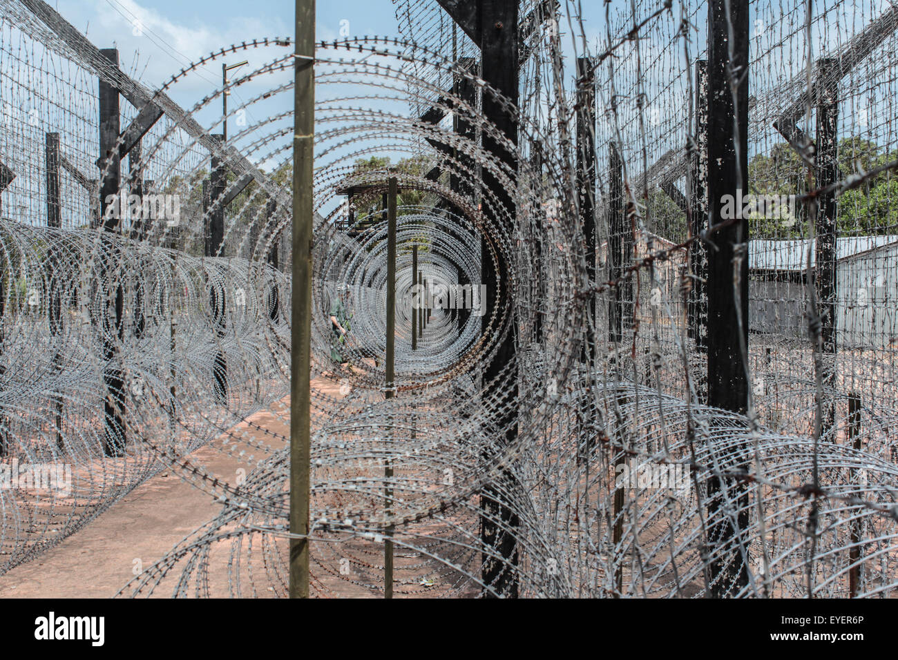 Barb Wire-Grenze / Zaun bewacht Stockfoto
