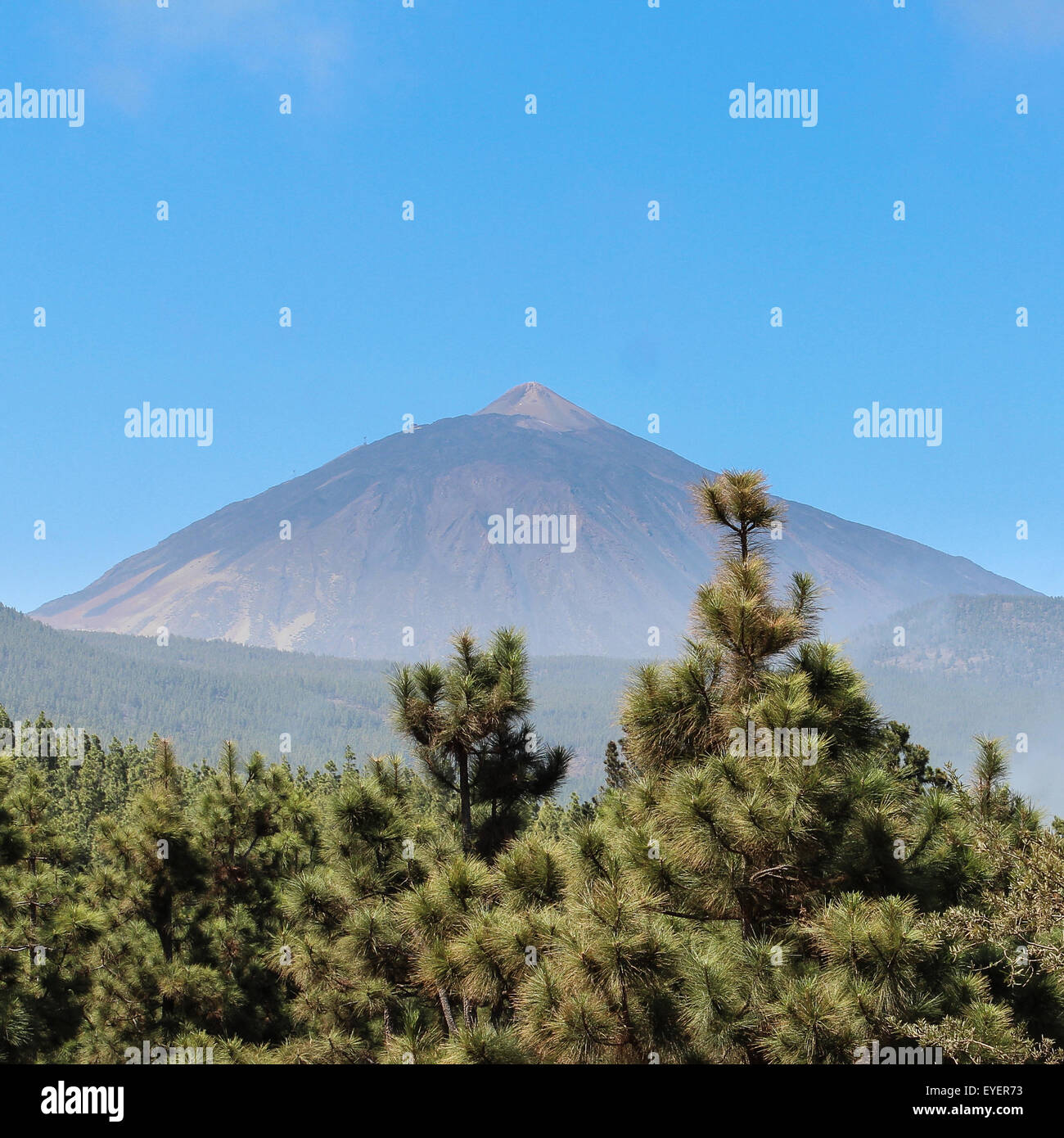 Berggipfel, blauer Himmel und Wald - Pico del Teide Stockfoto