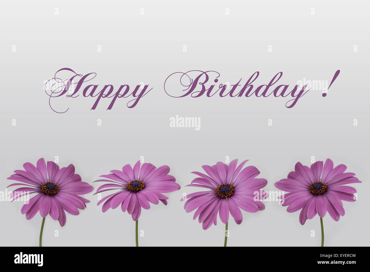 Happy Birthday Blumen Stockfoto