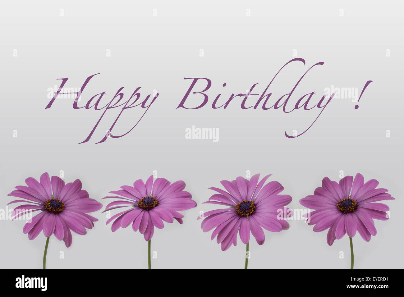 Happy Birthday Blumen Stockfoto