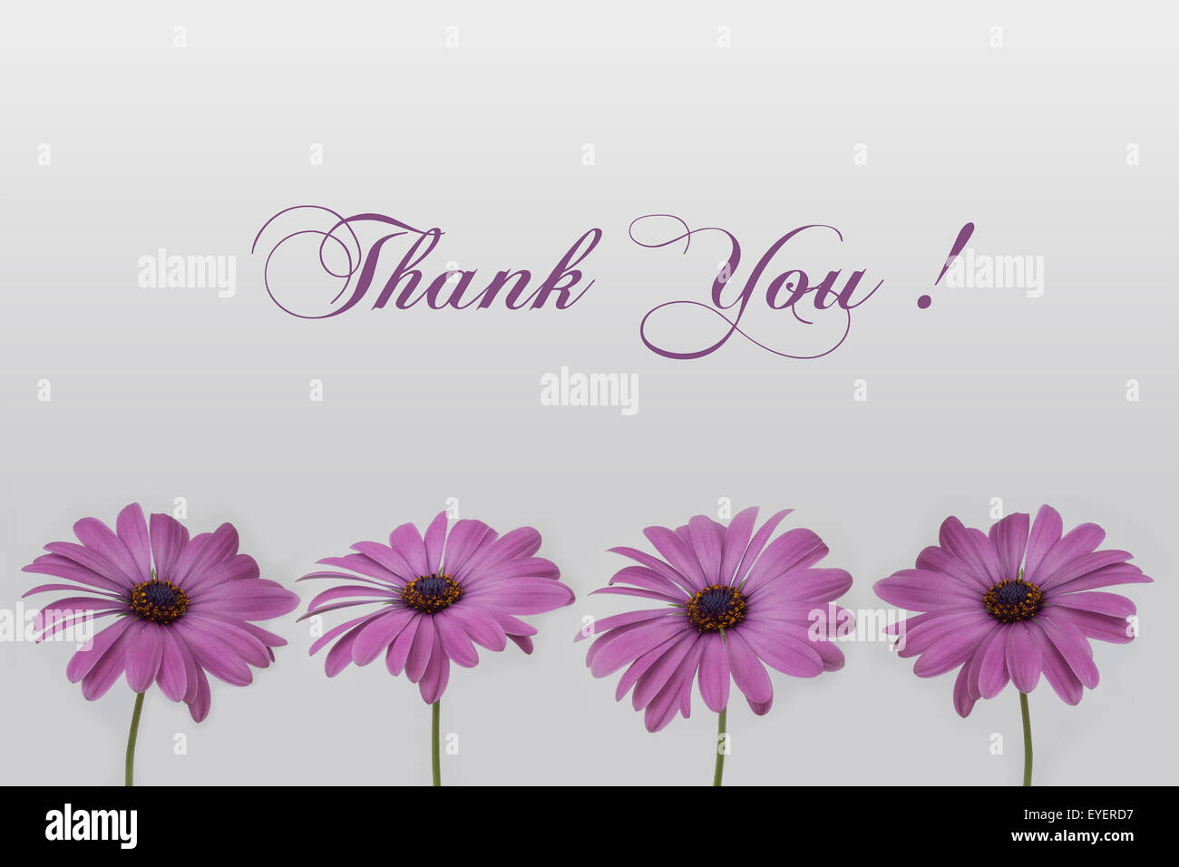 Vielen Dank - Blumen und text Stockfoto