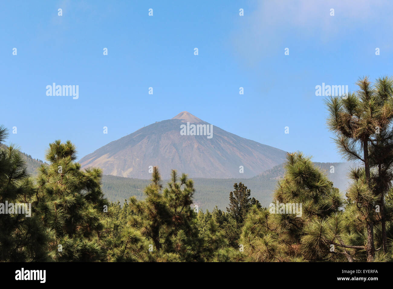 Berglandschaft, blauer Himmel und Wald - Pico del Teide Stockfoto