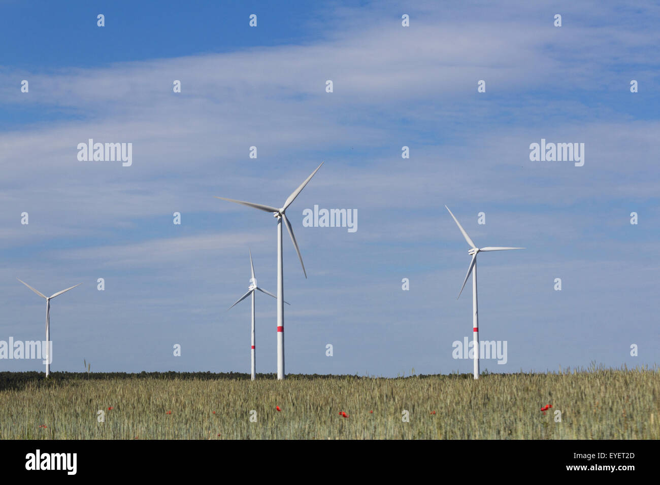 Windkraftanlagen in Weizen Feld Landschaft Stockfoto