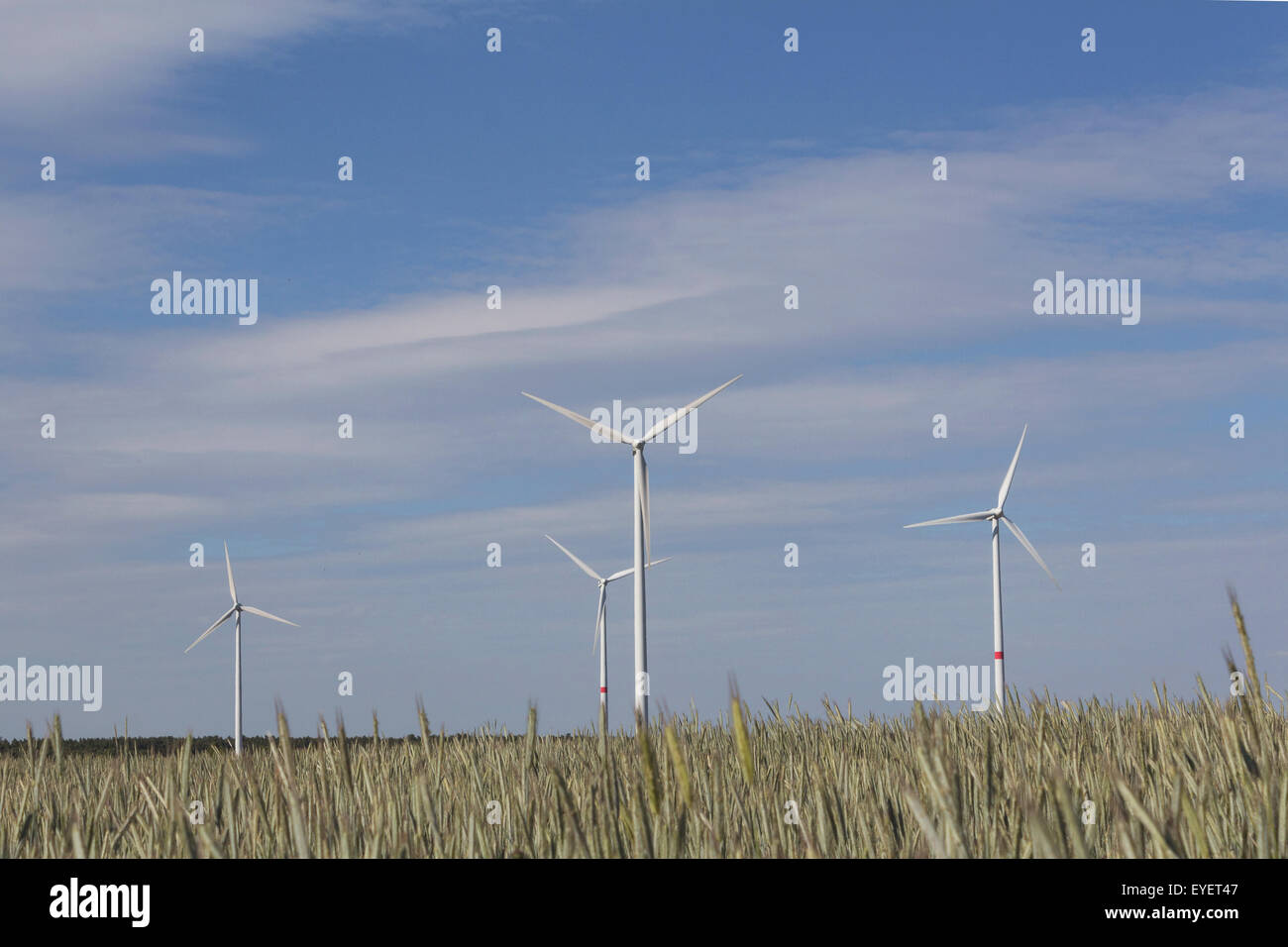 Windkraftanlagen in Weizen Feld Landschaft Stockfoto