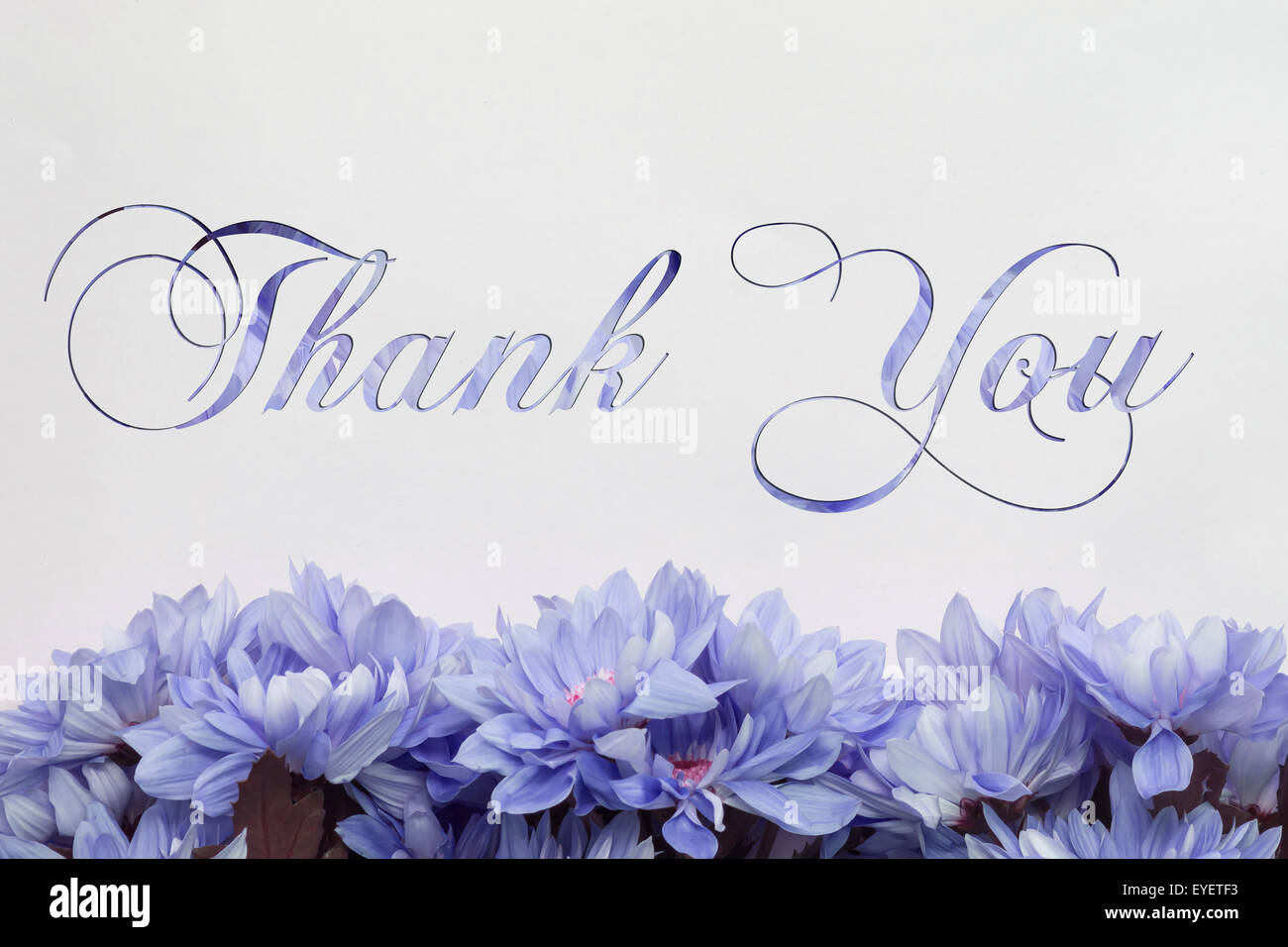 Vielen Dank, Blumen und schöne Handschrift Grußkarte Stockfoto