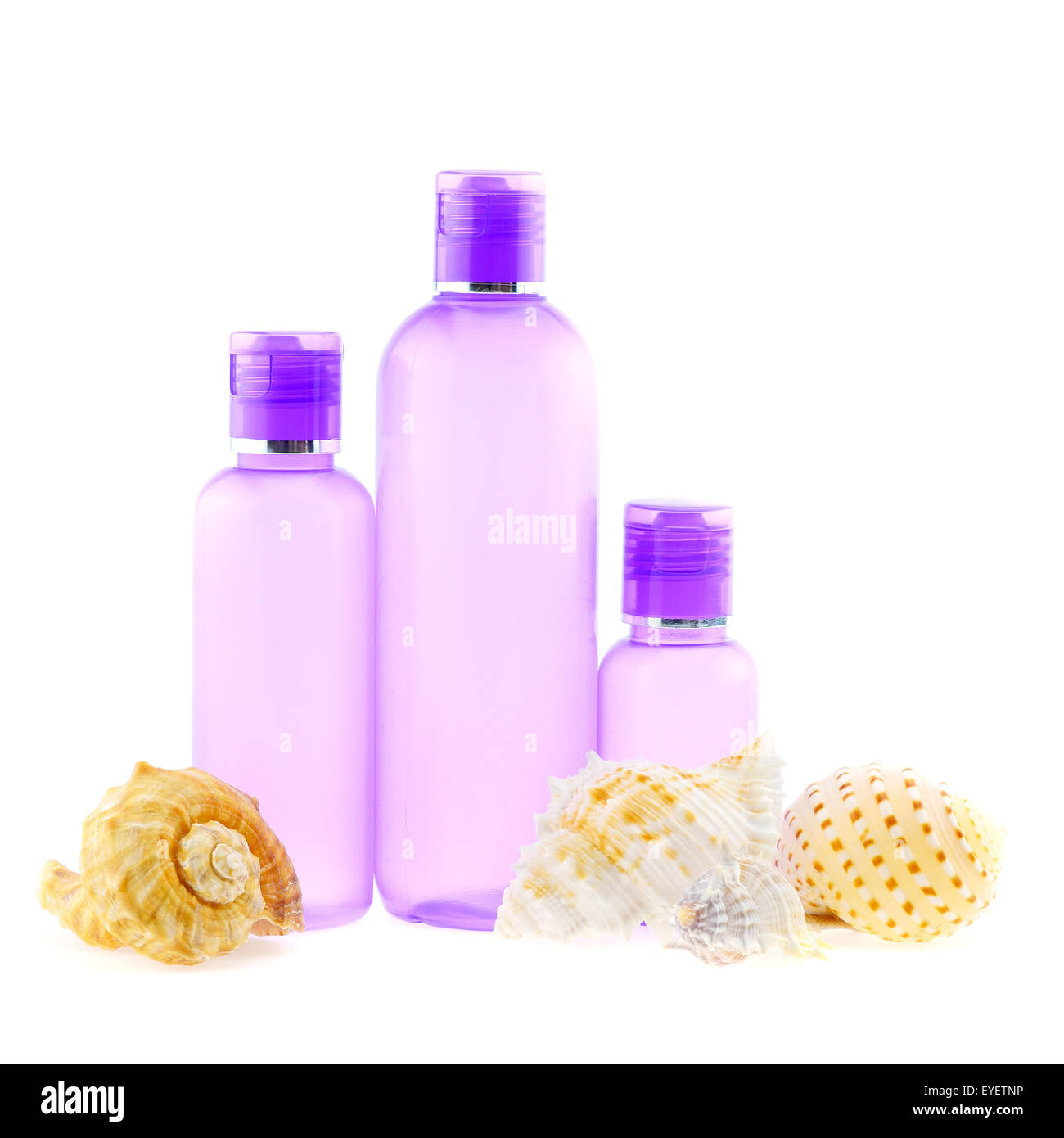 Natur-Skelett Shell mit lila Flasche in Spa Profil, isoliert auf weißem Hintergrund Stockfoto