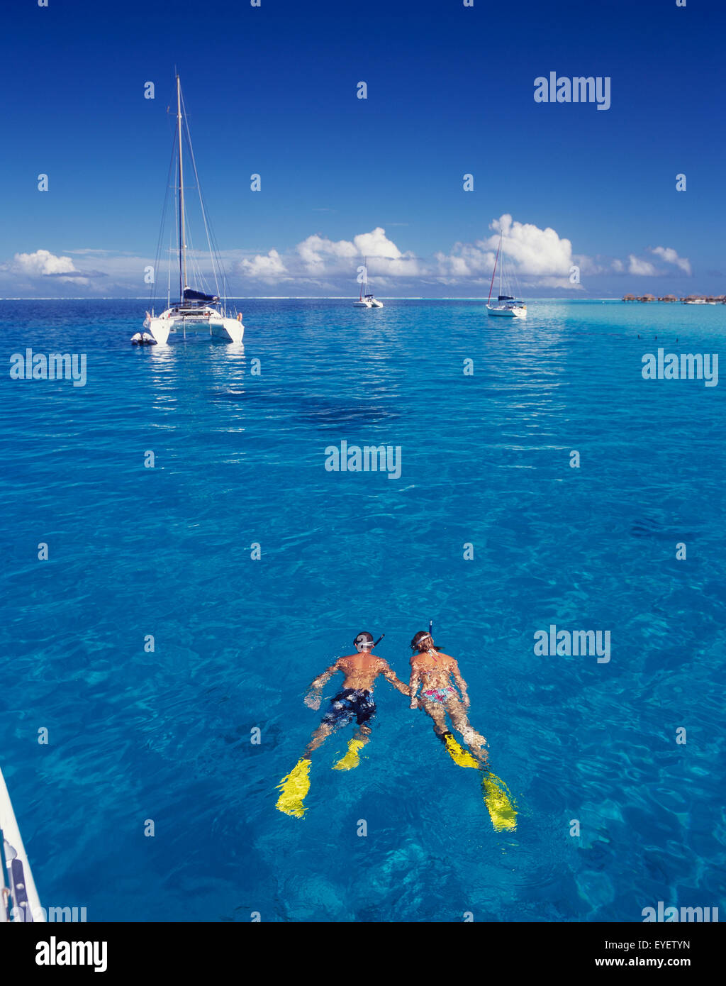 Schnorcheln; Tahiti Stockfoto