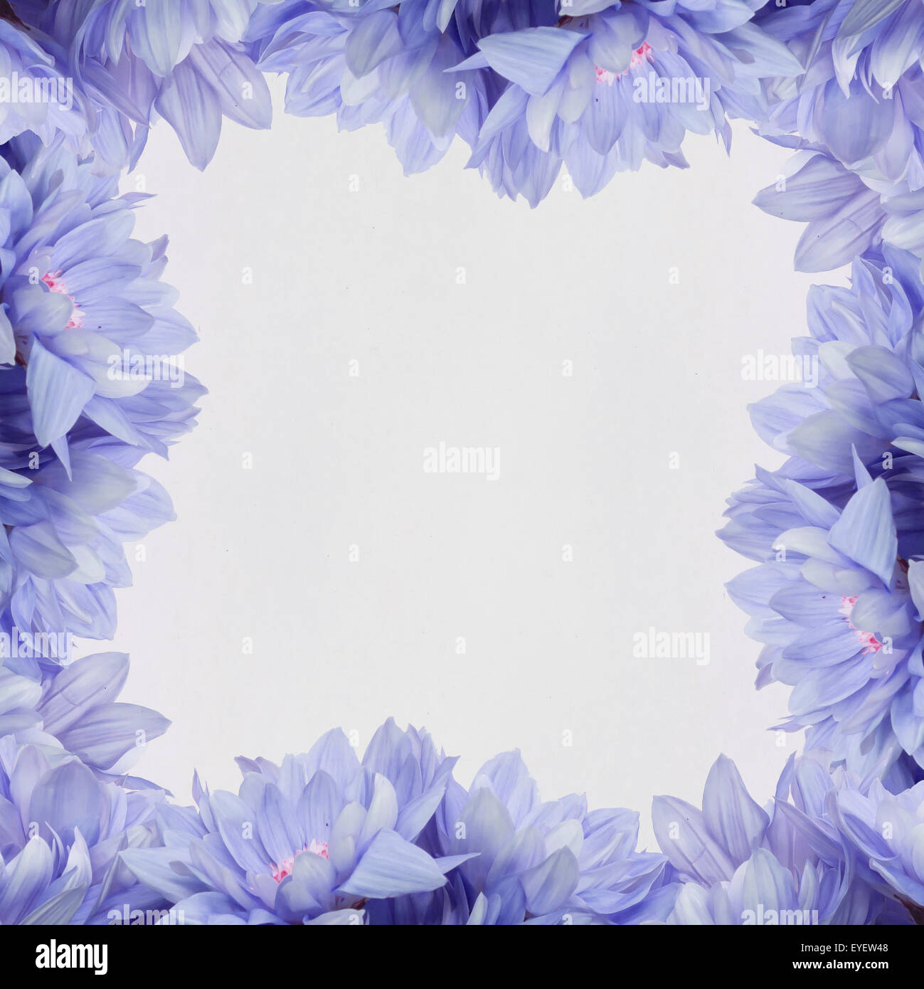 Frame Blumendekoration auf weißem Hintergrund Stockfoto