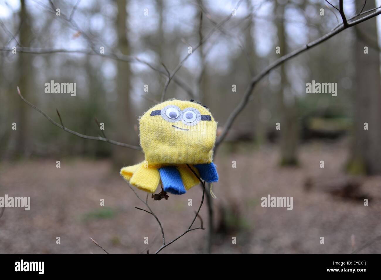 Verlorener Kinderhandschuh, der an einem Ast im Wald hängt Stockfoto