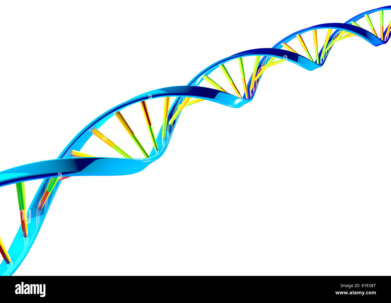 Stranded DNA-Moleküle Stockfoto