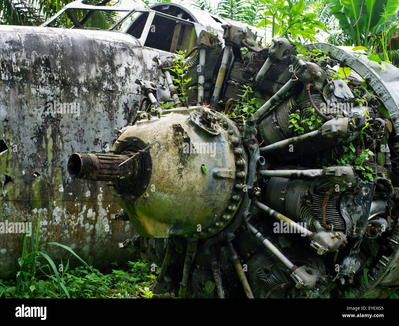 WW11 Flugzeug Wrack in der Nähe von Kimbe; West New Britain, Papua New Guinea Stockfoto