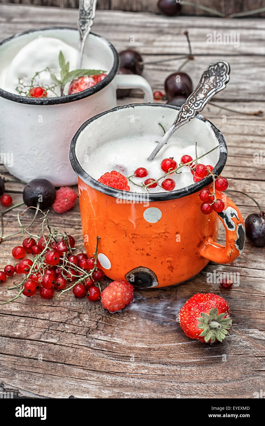 Sommer-Dessert Eis und frische Beeren in einer Eisen-Kreis. Selektiven Fokus Stockfoto