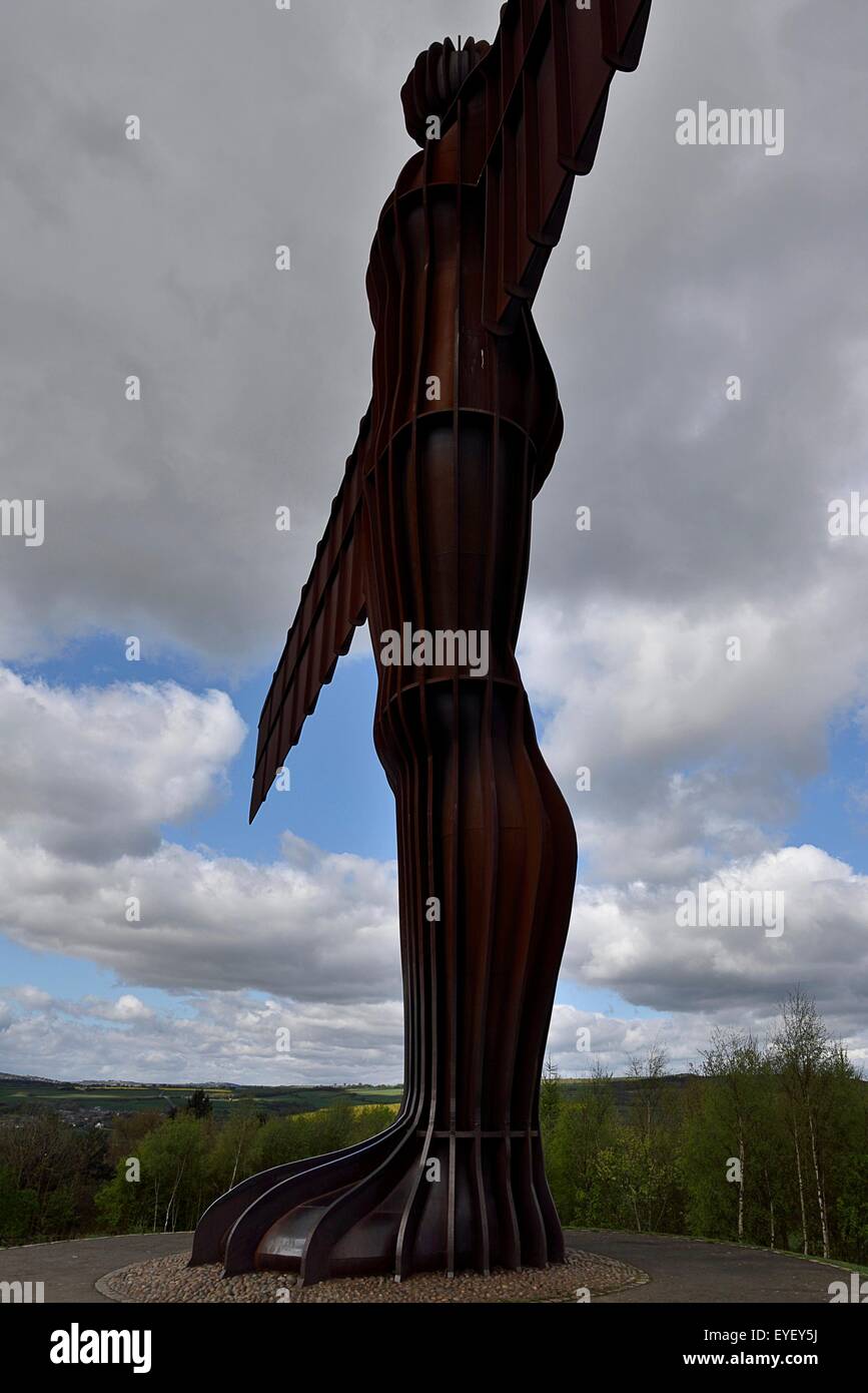 Der Engel der Norden, Skulptur und Kunst-Installation durch Andrew Gormley in Gateshead county Durham Stockfoto