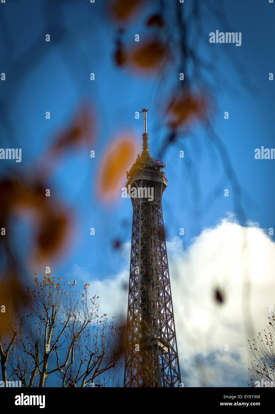 Der Eiffelturm, Paris im Herbst. 25.11.2012 - Sylvain Leser Stockfoto