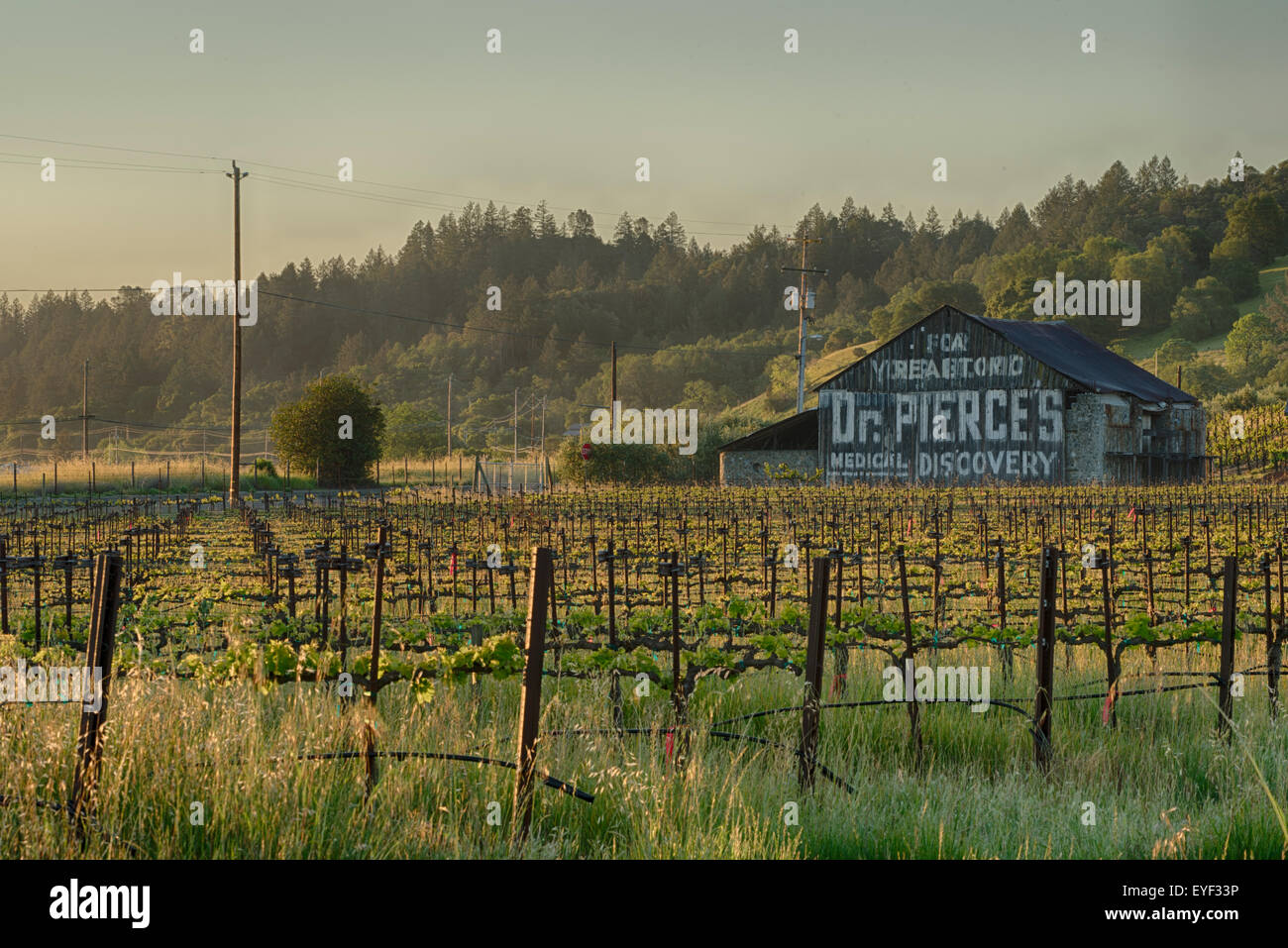 Sonnenaufgang über ein California Wine Country Scheune Stockfoto
