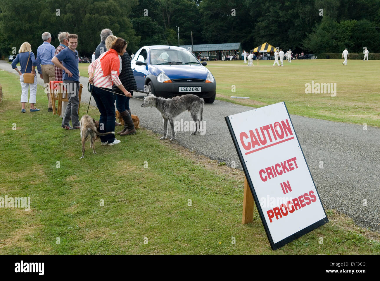 Das Familienleben in Großbritannien, das Cricketspiel im Dorf, die Zuschauer plaudern. In der Nähe von Petworth West Sussex, UK 2015 2010s HOMER SYKES Stockfoto