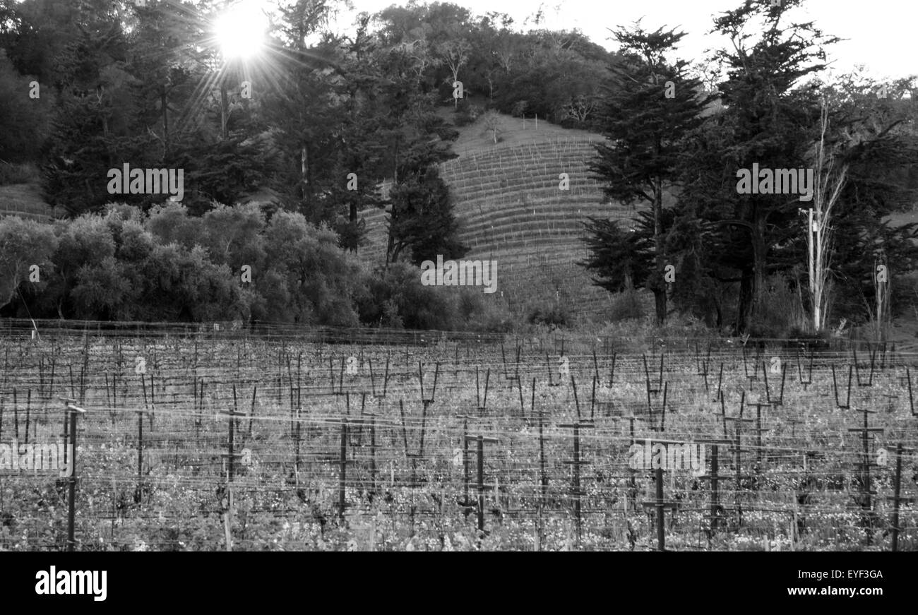 Terrassierter Hang Stockfotos & Terrassierter Hang Bilder - Alamy