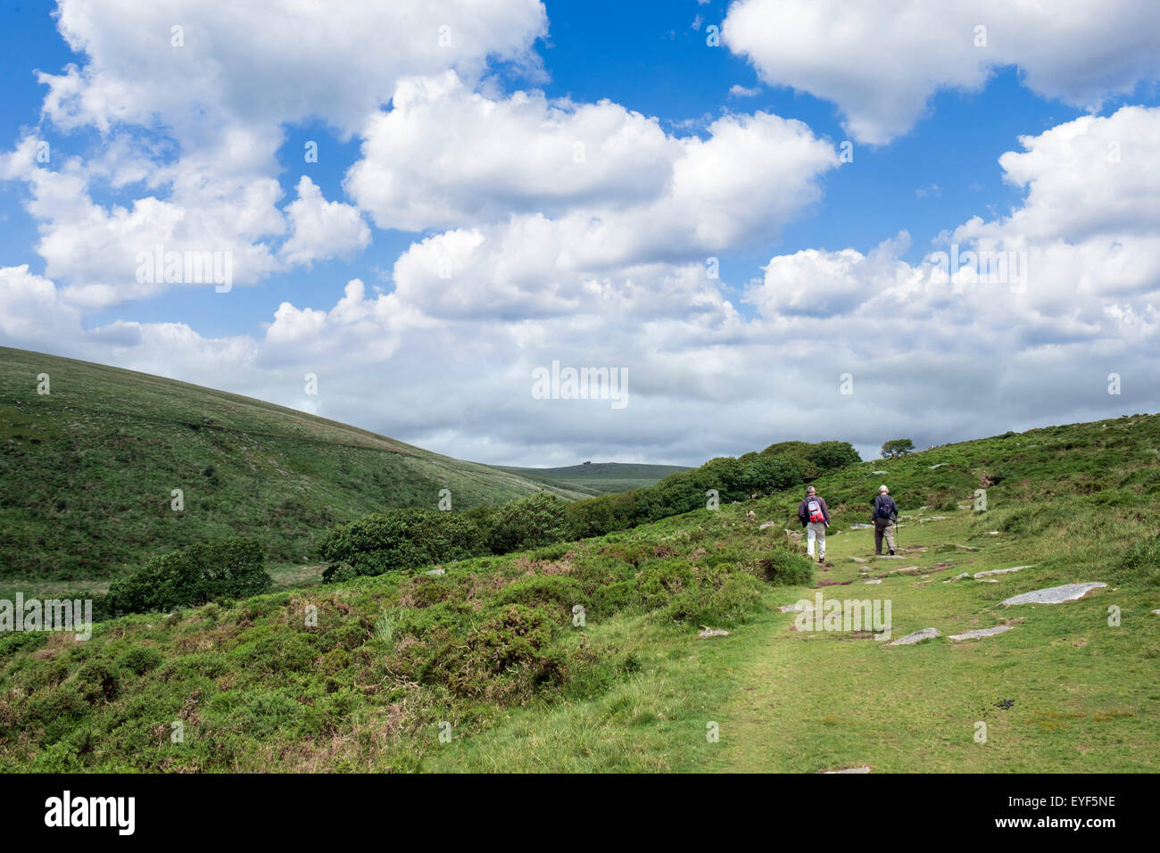 Wanderer auf dem Fußweg von zwei Brücken, Wistmans Holz, Dartmoor National Park, Devon, England, UK Stockfoto