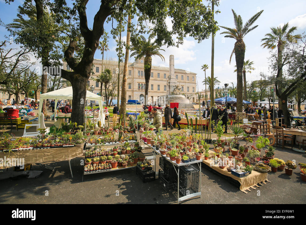 MARTINA FRANCA, Italien - 15. März 2015: Flohmarkt mit einem Sortiment von Kakteen auf der Piazza Vittorio Veneto in der Mitte o Stockfoto