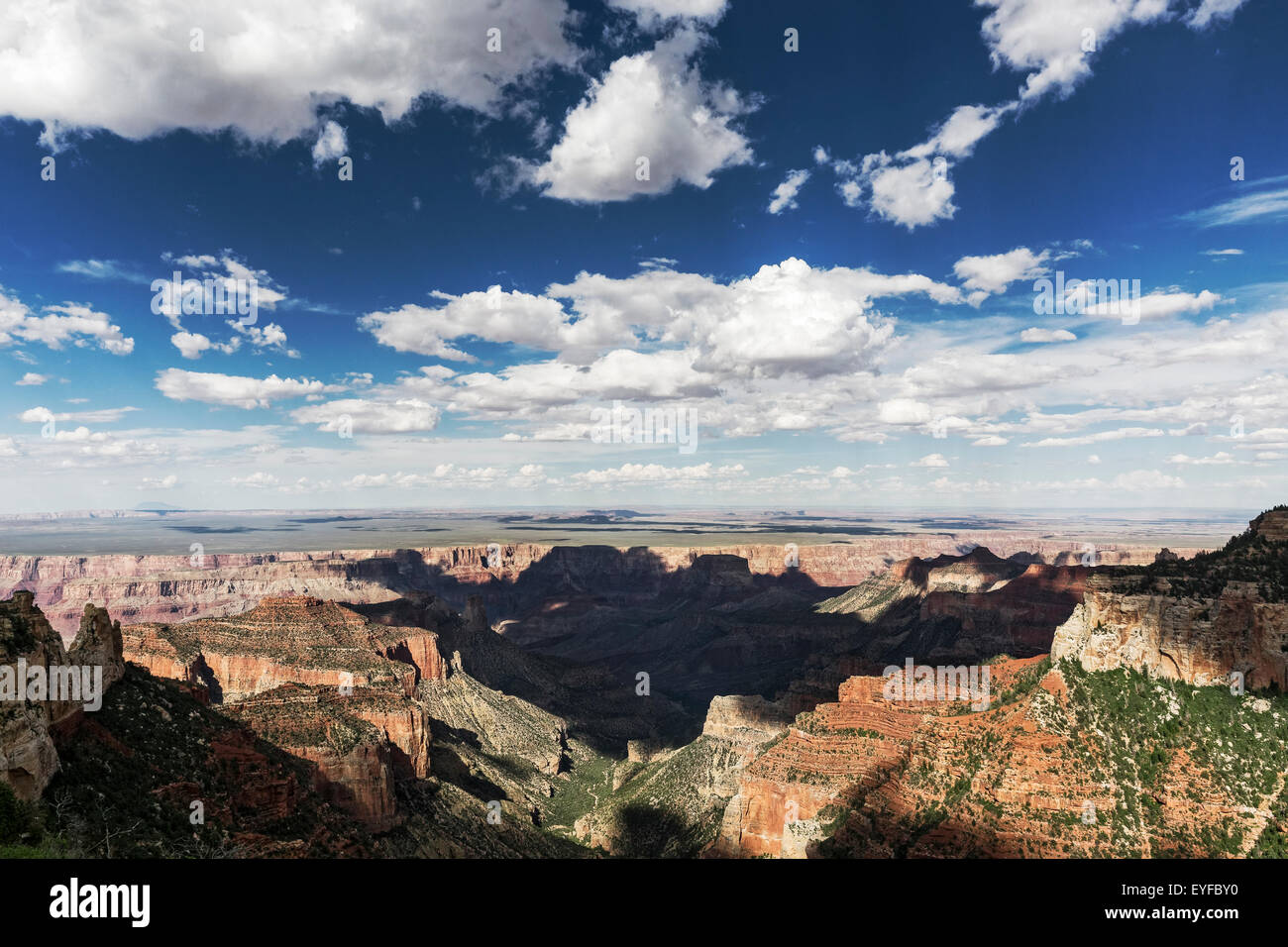 Nationalpark Grand Canyon North Rim, Arizona Stockfoto