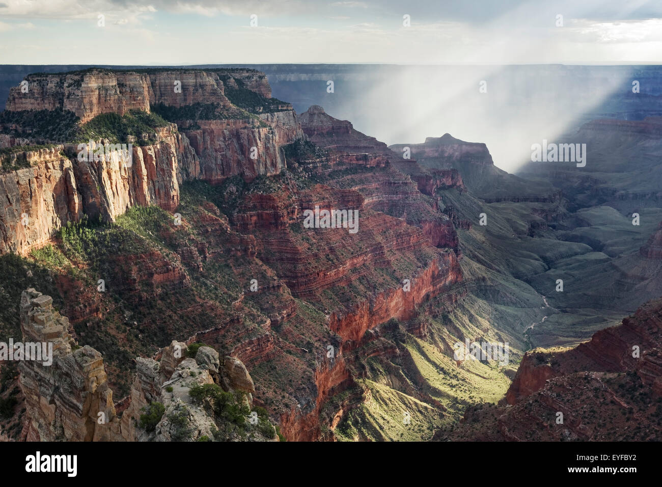 Nationalpark Grand Canyon North Rim, Arizona Stockfoto