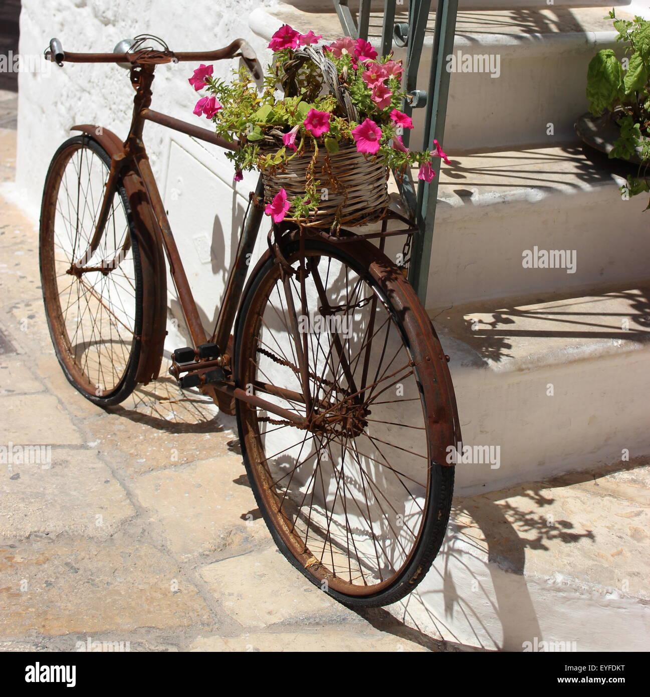 Rostigen Fahrrad verwendet wie eine Blume-Anzeige Stockfoto