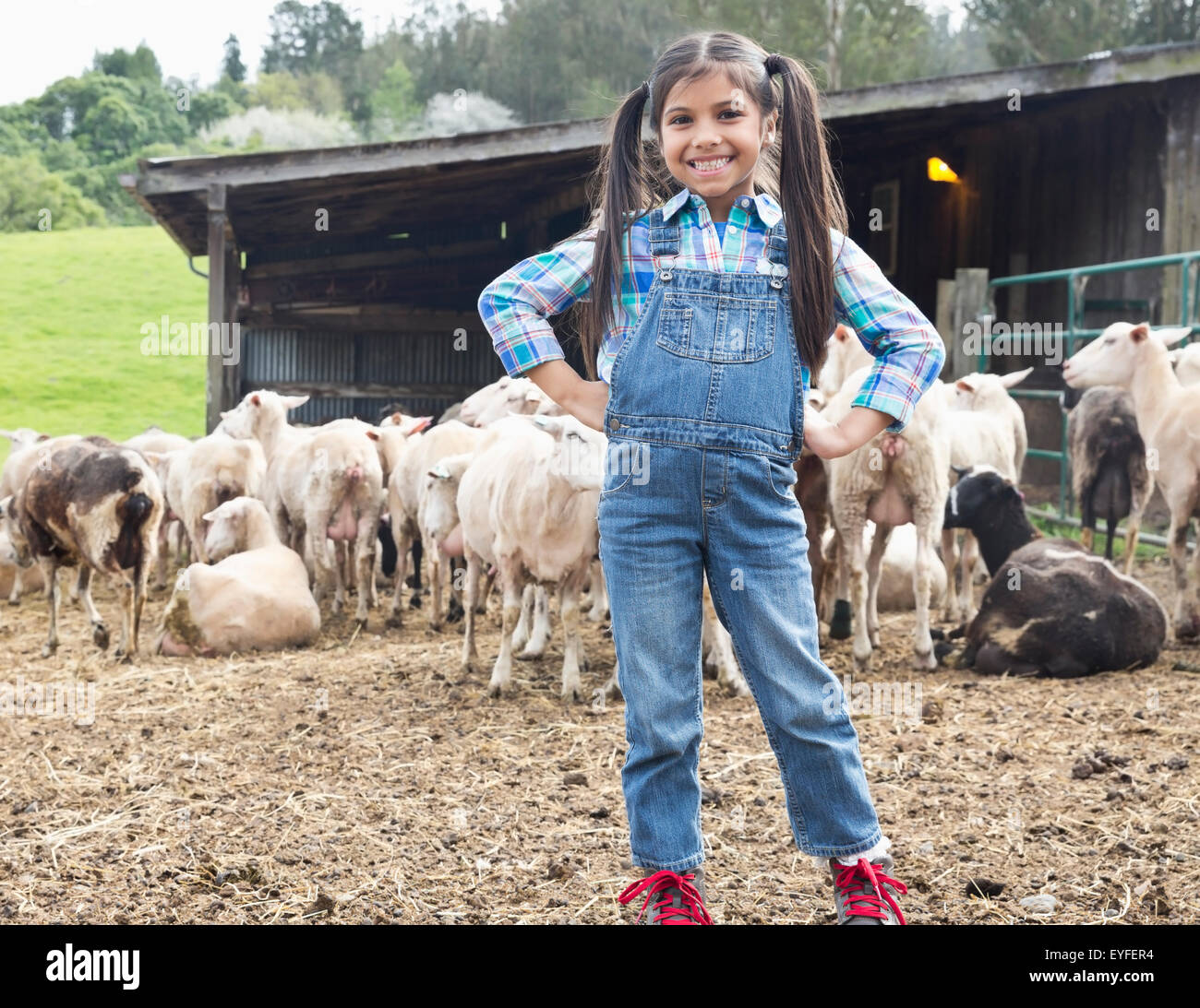 Porträt von Mädchen (6-7) und Schafherde im Hintergrund Stockfoto