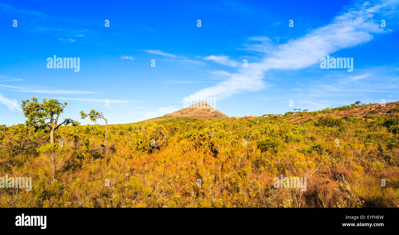 Buschland um Frenchman Peak Hill im Cape Le Grand National Park Stockfoto