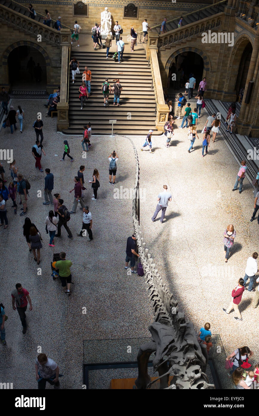 Der zentralen Halle auf das Natural History Museum in London. Stockfoto