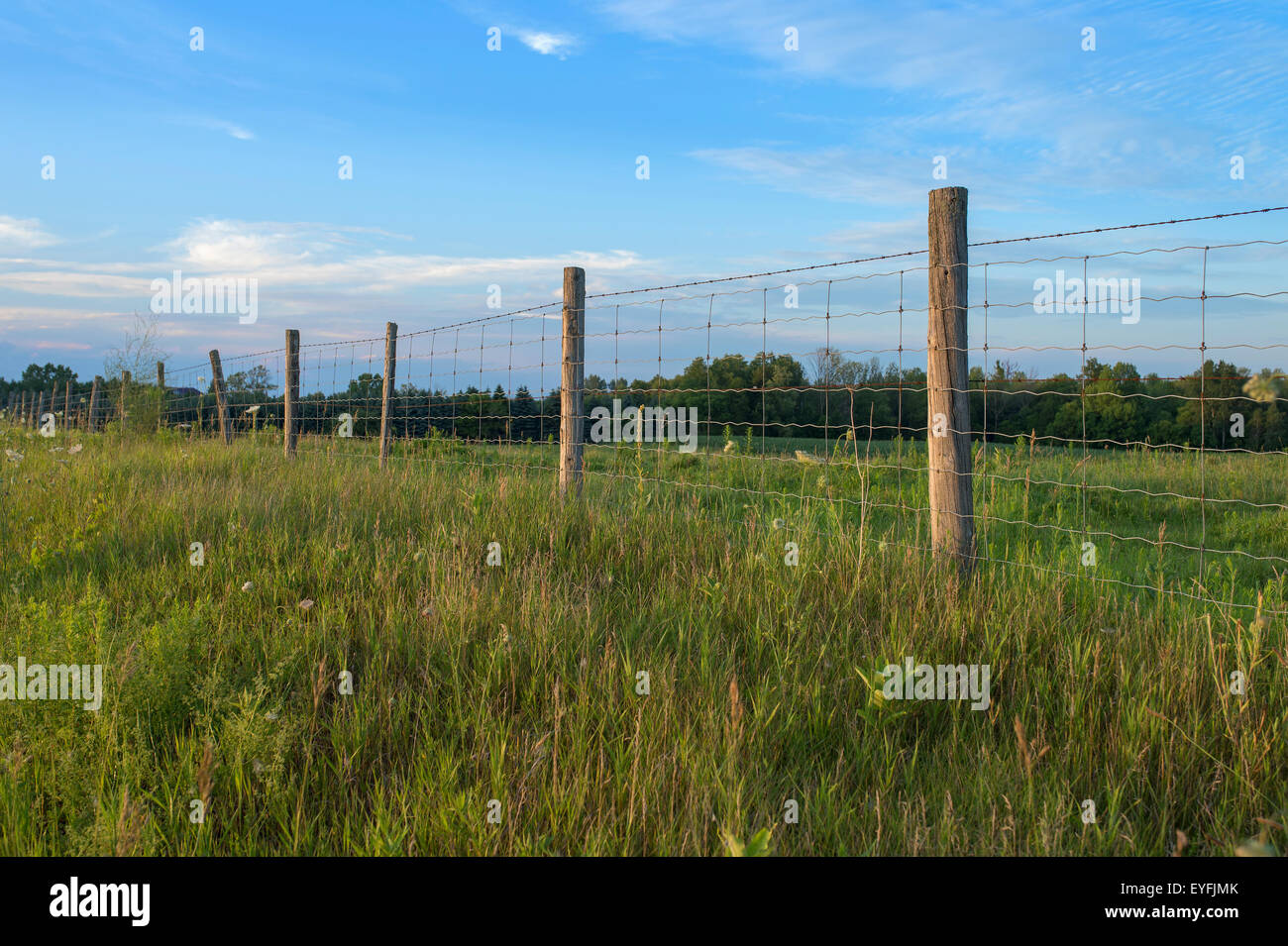 Zaun und pfosten Fotos und Bildmaterial in hoher Auflösung Alamy