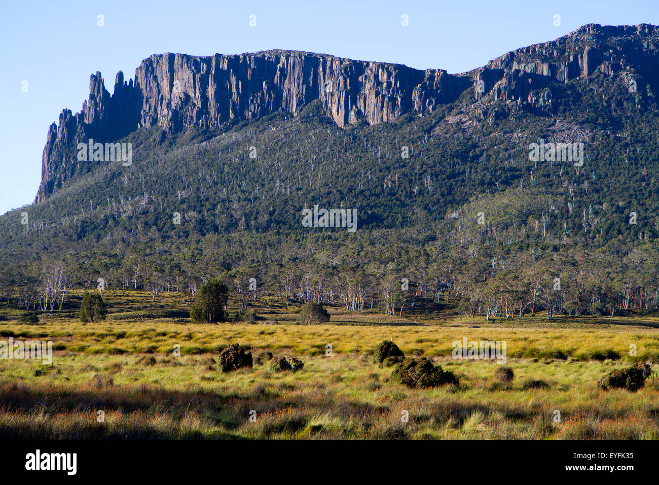 Mt Oakleigh erhebt sich über Pelion Plains Stockfoto