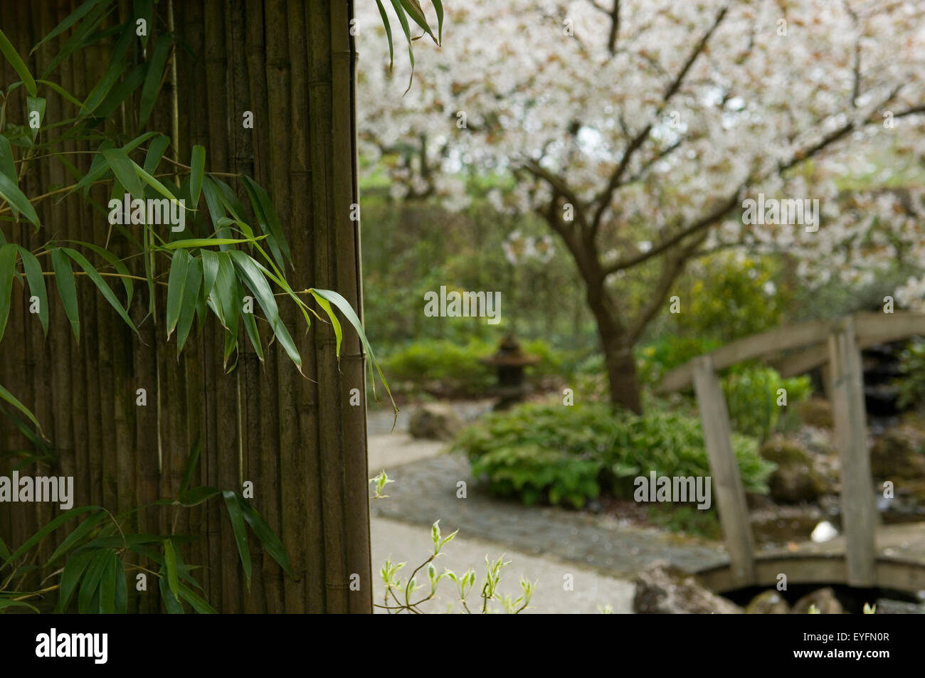 Barnsdale Gärten; Rutland, England Stockfoto