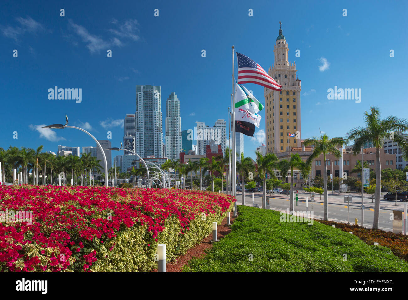 FREEDOM TOWER SKYLINE VON DOWNTOWN MIAMI FLORIDA USA Stockfoto
