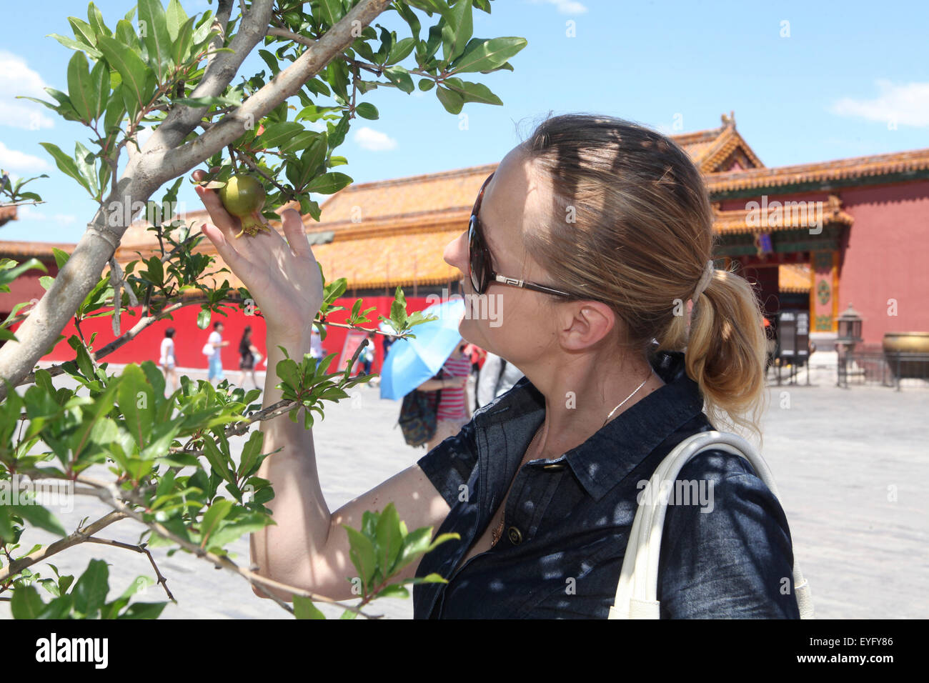 Europäischen Dame genießt China, europäische Frau berührt junge Granatapfel, genießt sie Schatten beim Besuch der verbotenen Stadt, Peking Stockfoto