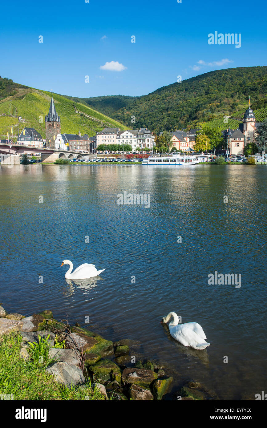Stadtbild mit Fluss, Bernkastel-Kues, Mosel Moseltal, Rheinland-Pfalz, Deutschland Stockfoto