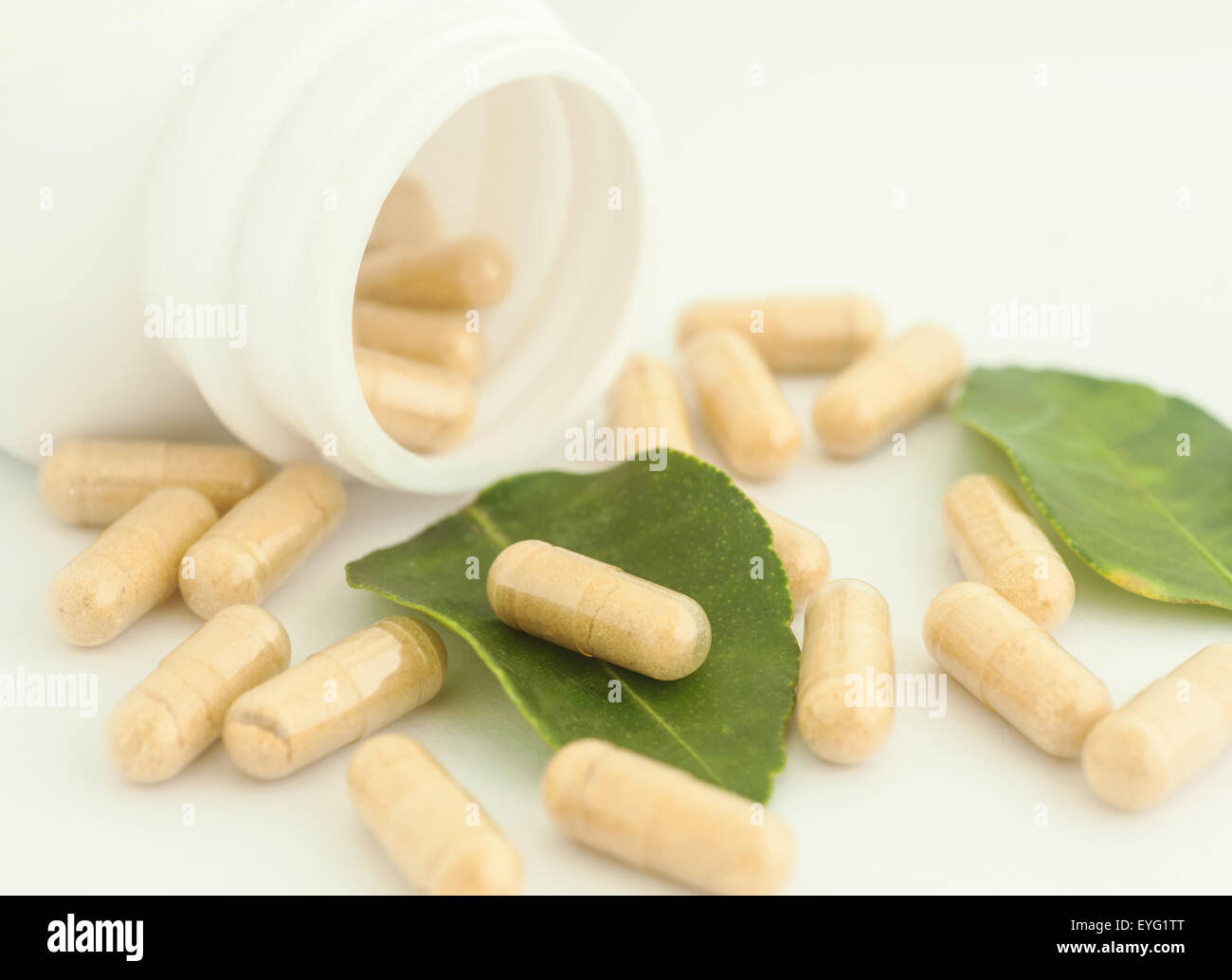 Kraut in Kapsel verschütten aus einer Flasche, Kräuter für die Gesundheit Stockfoto