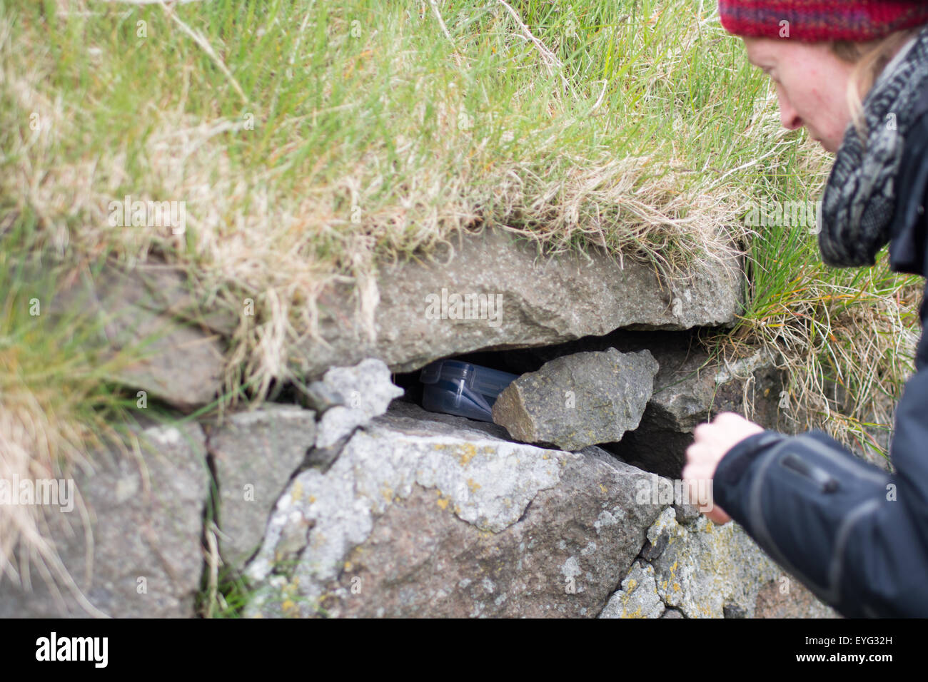 Junge Frau die Suche nach einem Geocache in einer Plastikbox in eine Mauer aus Stein Stockfoto