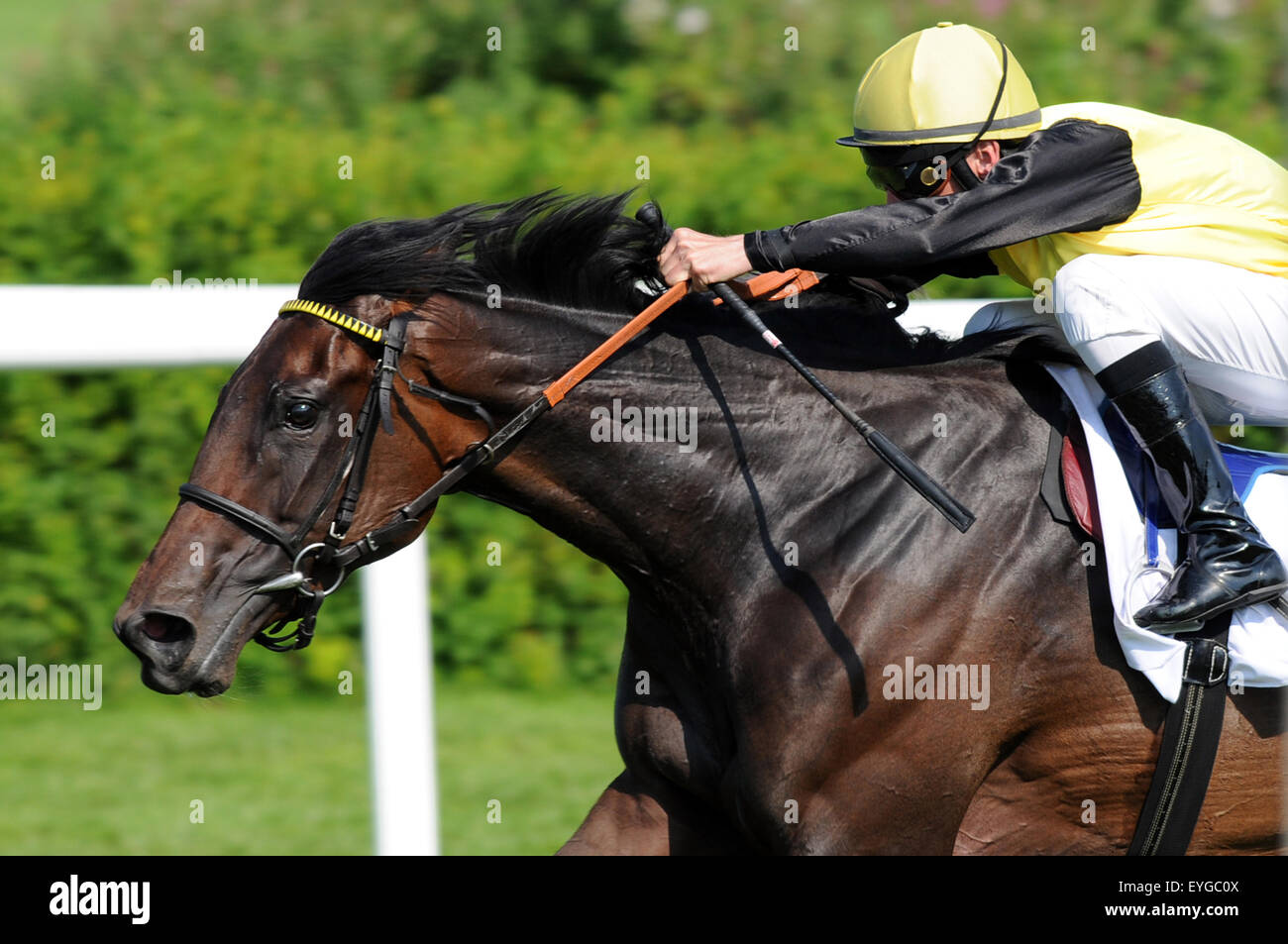 Hamburg, Deutschland, Pferd und Jockey bei einem Galopp-Rennen in Aktion Stockfoto