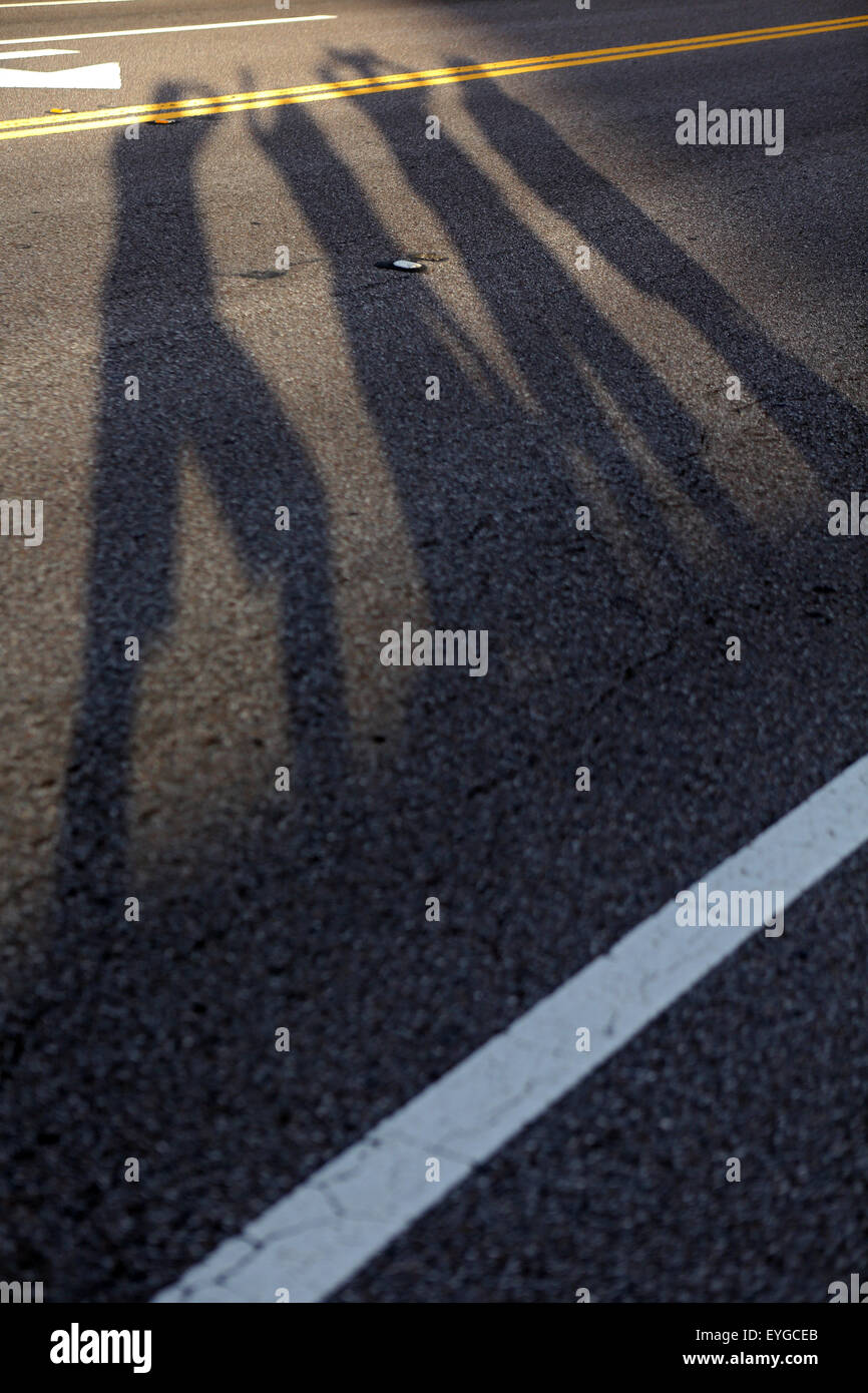 Sankt Petersburg, Vereinigte Staaten, werfen Menschen Schatten auf dem asphalt Stockfoto