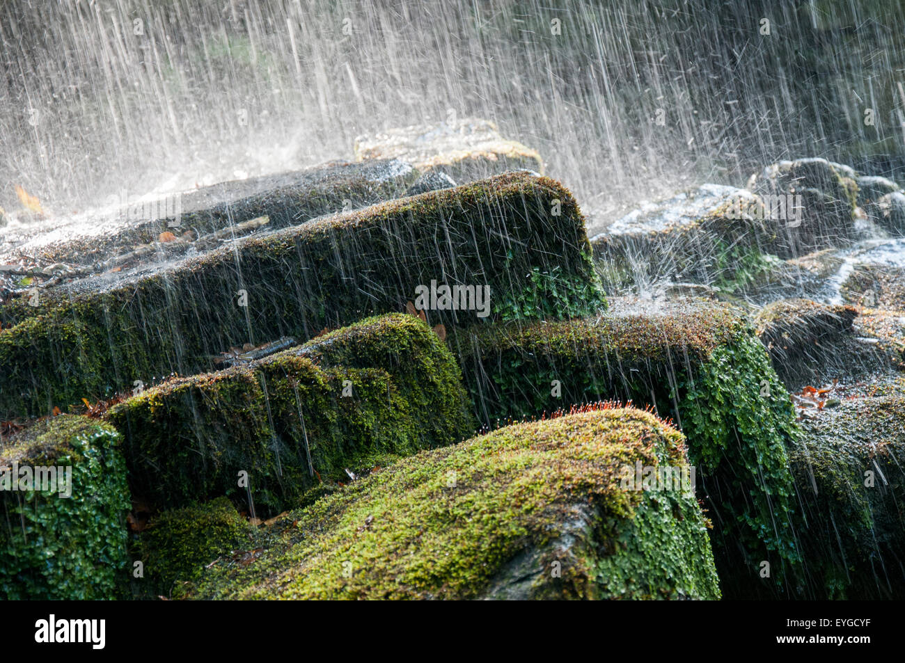 Starkregen abprallen Felsen am Lumsdale Herbst in Derbyshire, Peak District UK Stockfoto