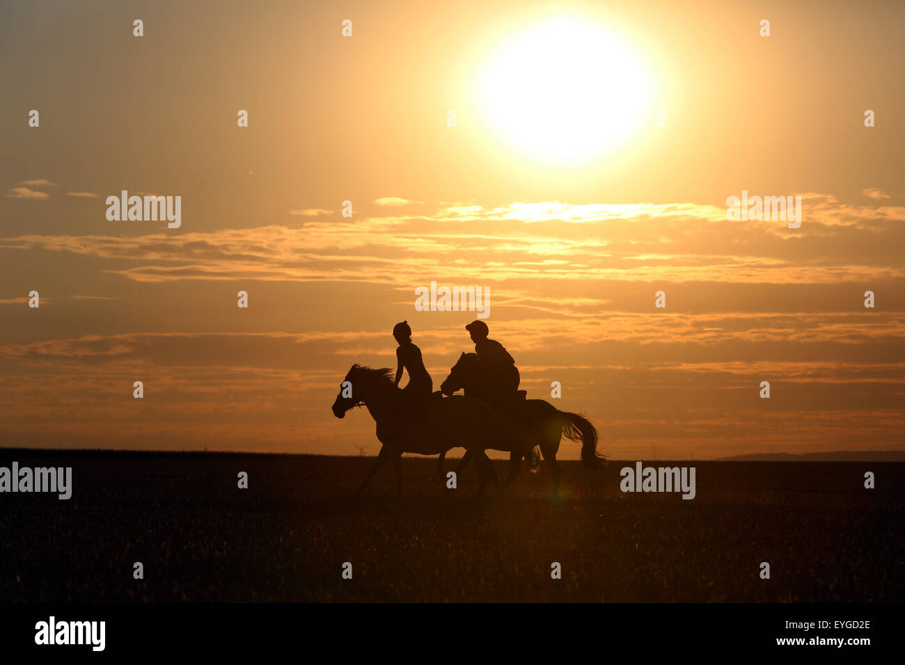 Ingelheim, Deutschland, Silhouette, Fahrer den Abend machen eine Fahrt Stockfoto