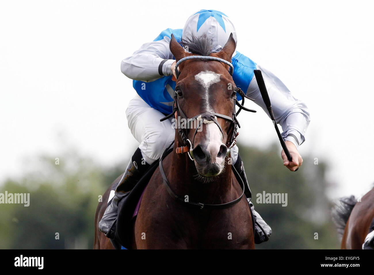 Hamburg, Deutschland, Pferd und Jockey bei einem Galopp-Rennen in Aktion Stockfoto