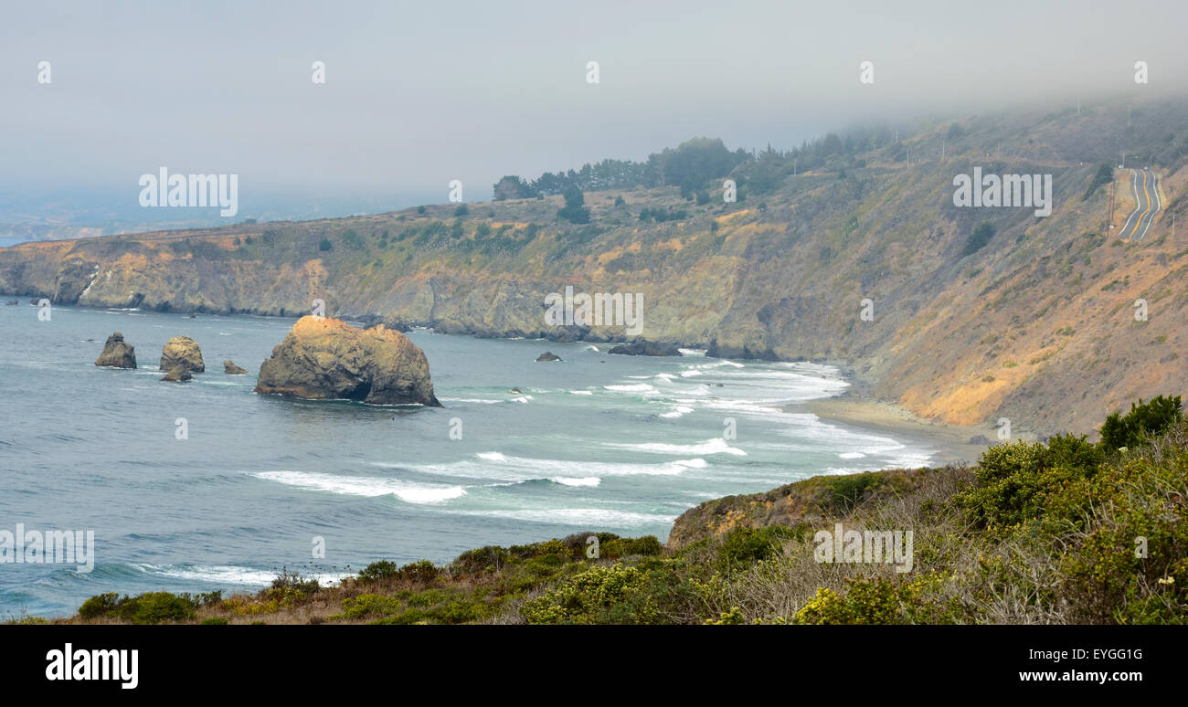 Der Morgennebel an der Sonoma Coast Stockfoto