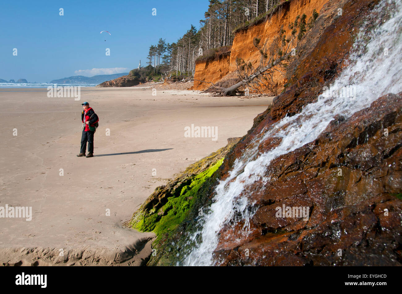 Küste Wasserfall, Cape Lookout State Park, Oregon Stockfoto