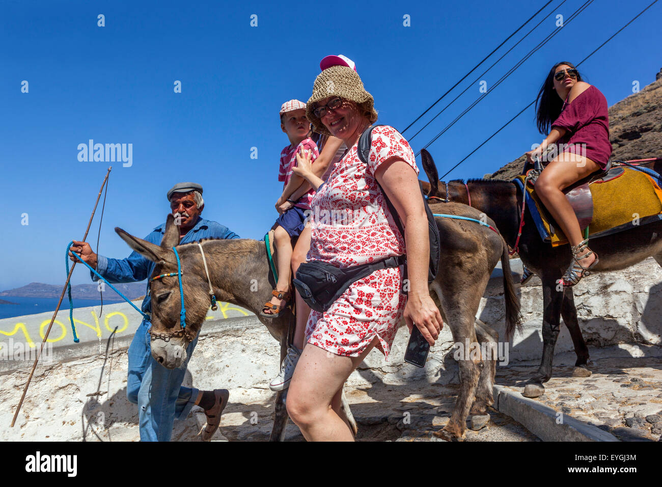 Santorini Esel tragen Touristen auf der Straße, die den Hafen mit der Stadt Fira Santorini, griechische Insel, Kykladen, Griechenland Stockfoto