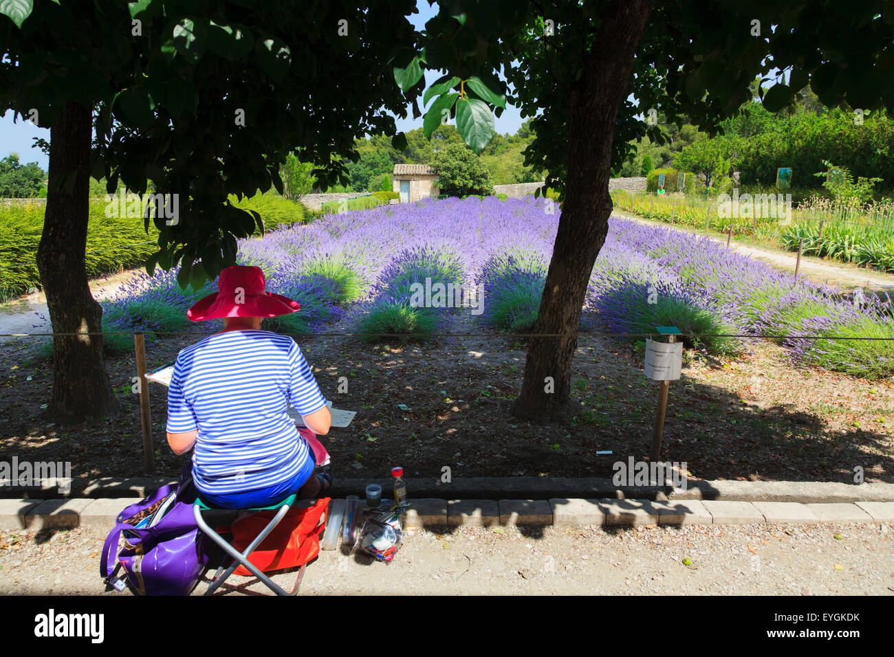 Ein Künstler malt den Lavendel im Garten am Maison de Sante Paulus Kloster Saint Remy Stockfoto