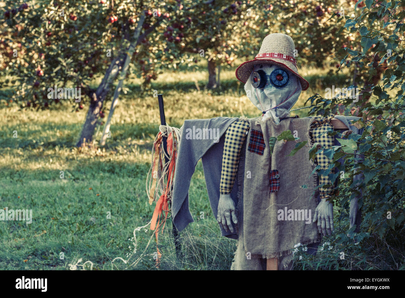 Eine Farm Vogelscheuche in einer Apfelplantage.  Mit einem antiken Ton-Effekt. Stockfoto