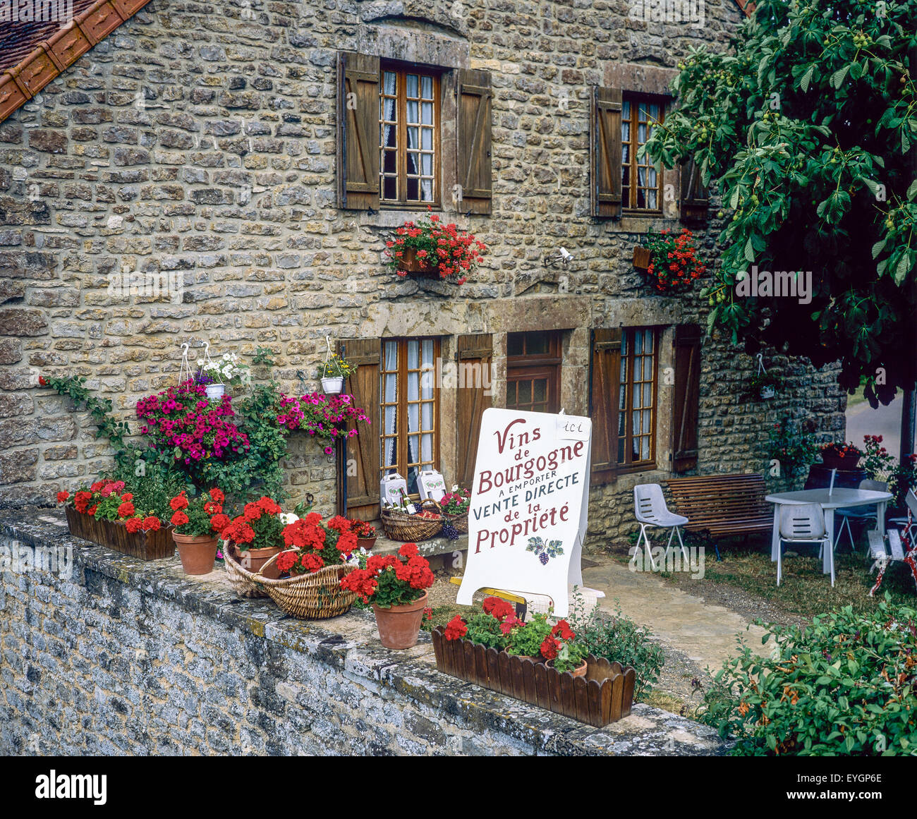 Burgunder Weine Zu Verkaufen - Schild, Winzer Haus, Côte-d'Or, Burgund, Frankreich, Europa Stockfoto