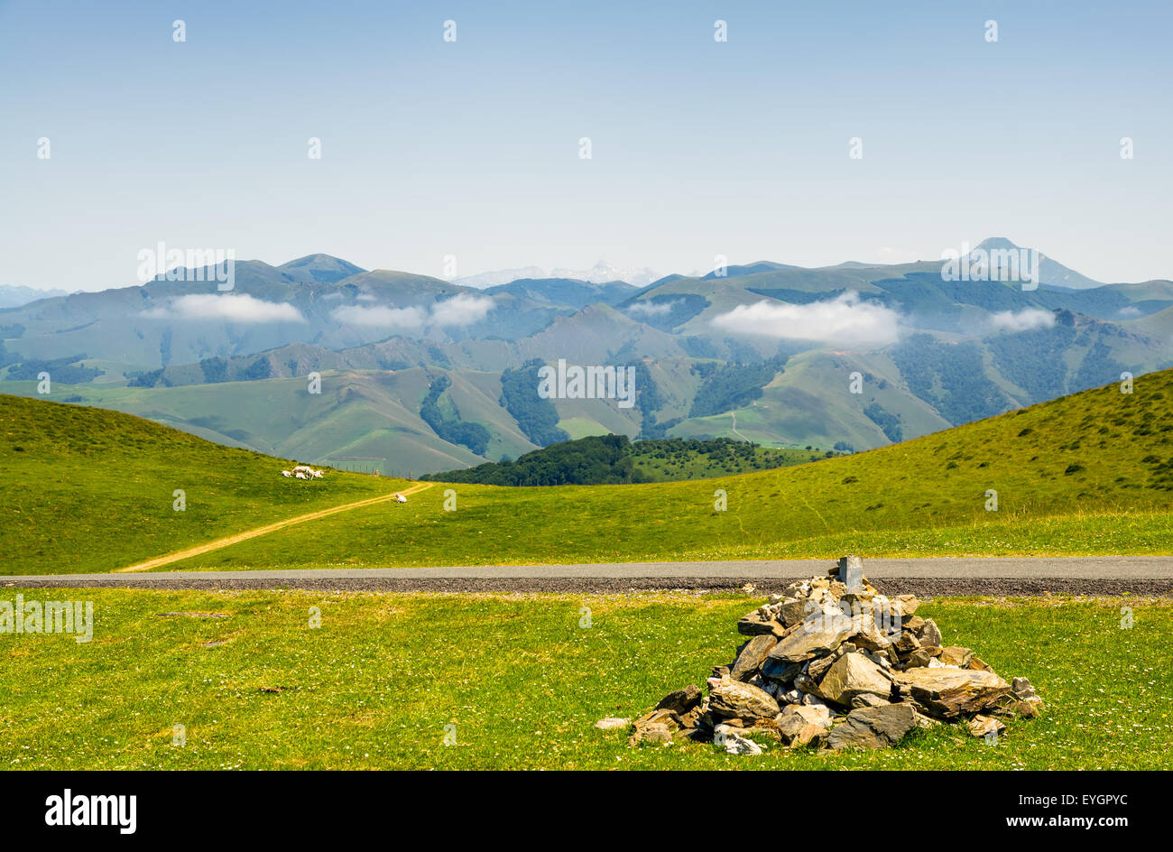 Beweidung von Wiesen in den französischen Pyrenäen Stockfoto