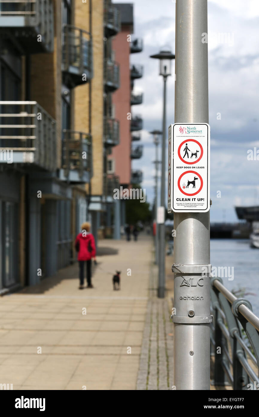 Eine öffentliche Keine 'Dog Messing' und 'dogs auf der Leitung, die über das Schild "Lamp Post im Stadtgebiet, ein Hund Walker mit einem Hund an der Leine hat gerade das Zeichen Stockfoto